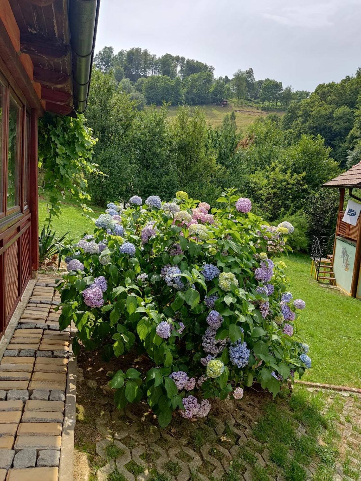 Holiday Home Pharaoh Visoko Zewnętrze zdjęcie