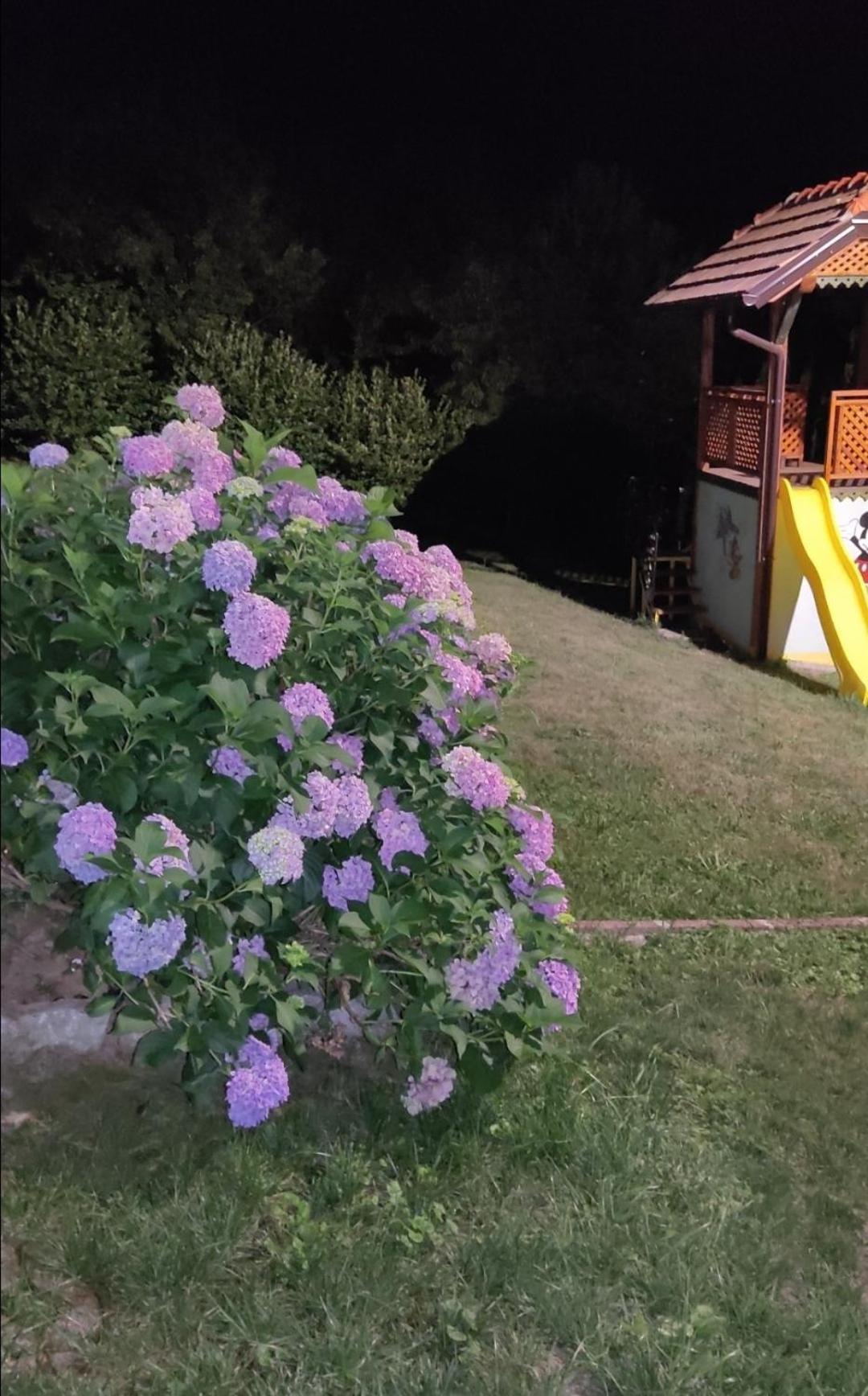 Holiday Home Pharaoh Visoko Zewnętrze zdjęcie