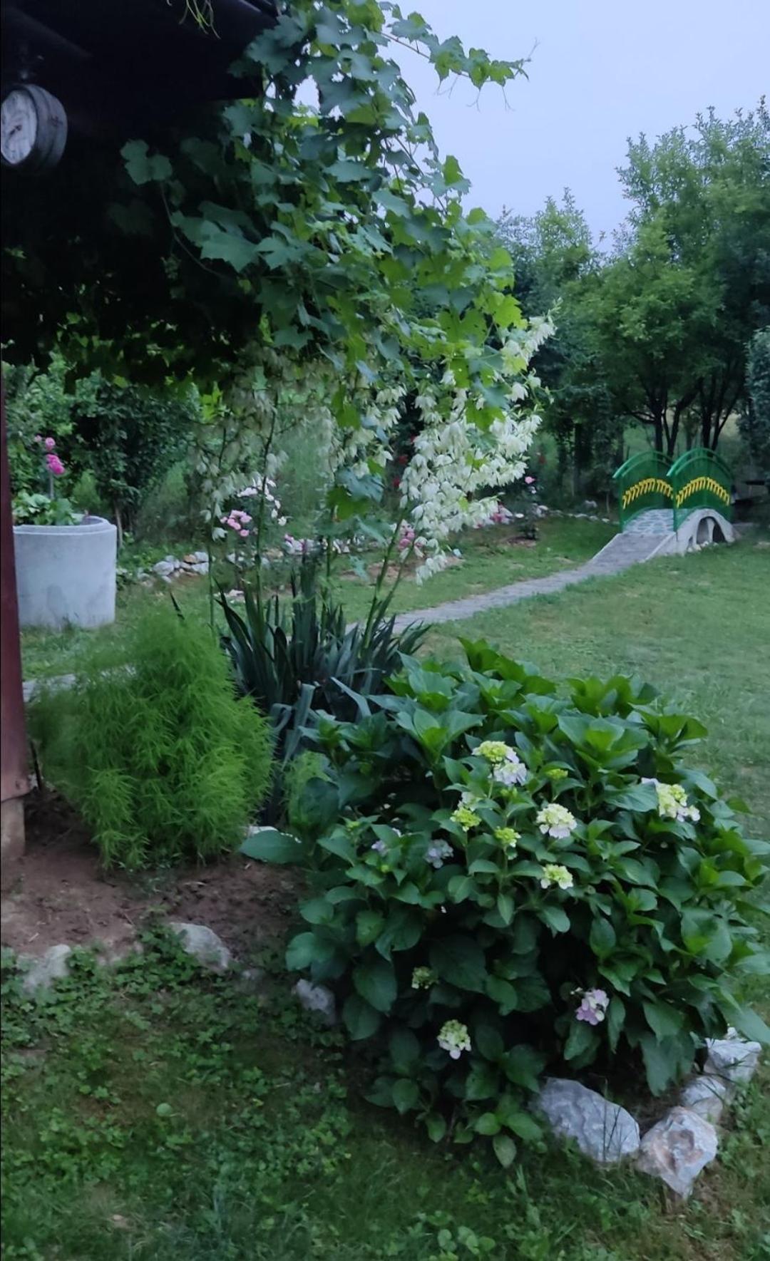 Holiday Home Pharaoh Visoko Zewnętrze zdjęcie